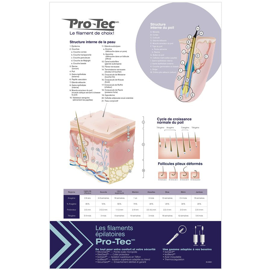 Affiche Pro-Tec (français)