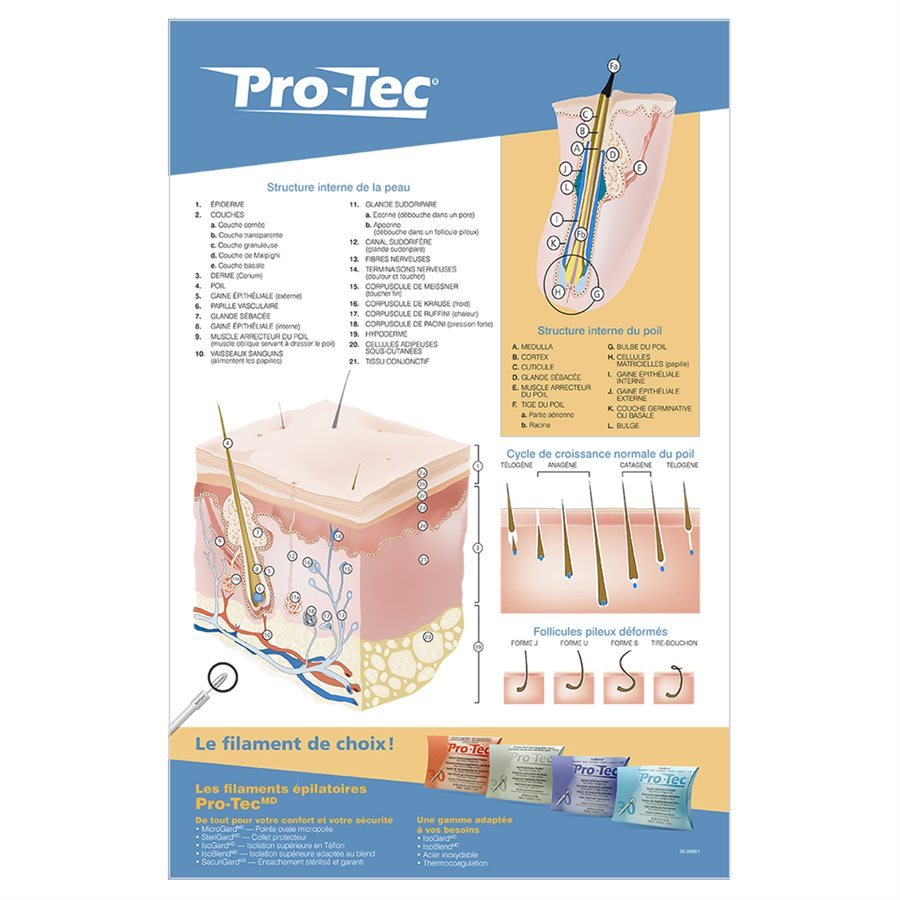 Affiche Pro-Tec (français)